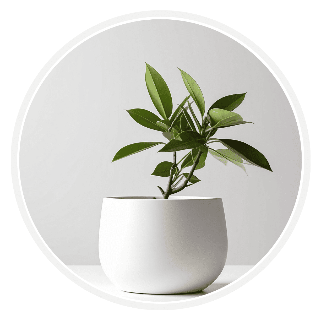 Decor Aliexpress Desde Argentina